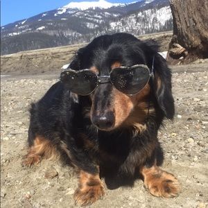 Meet your Posher, Kim